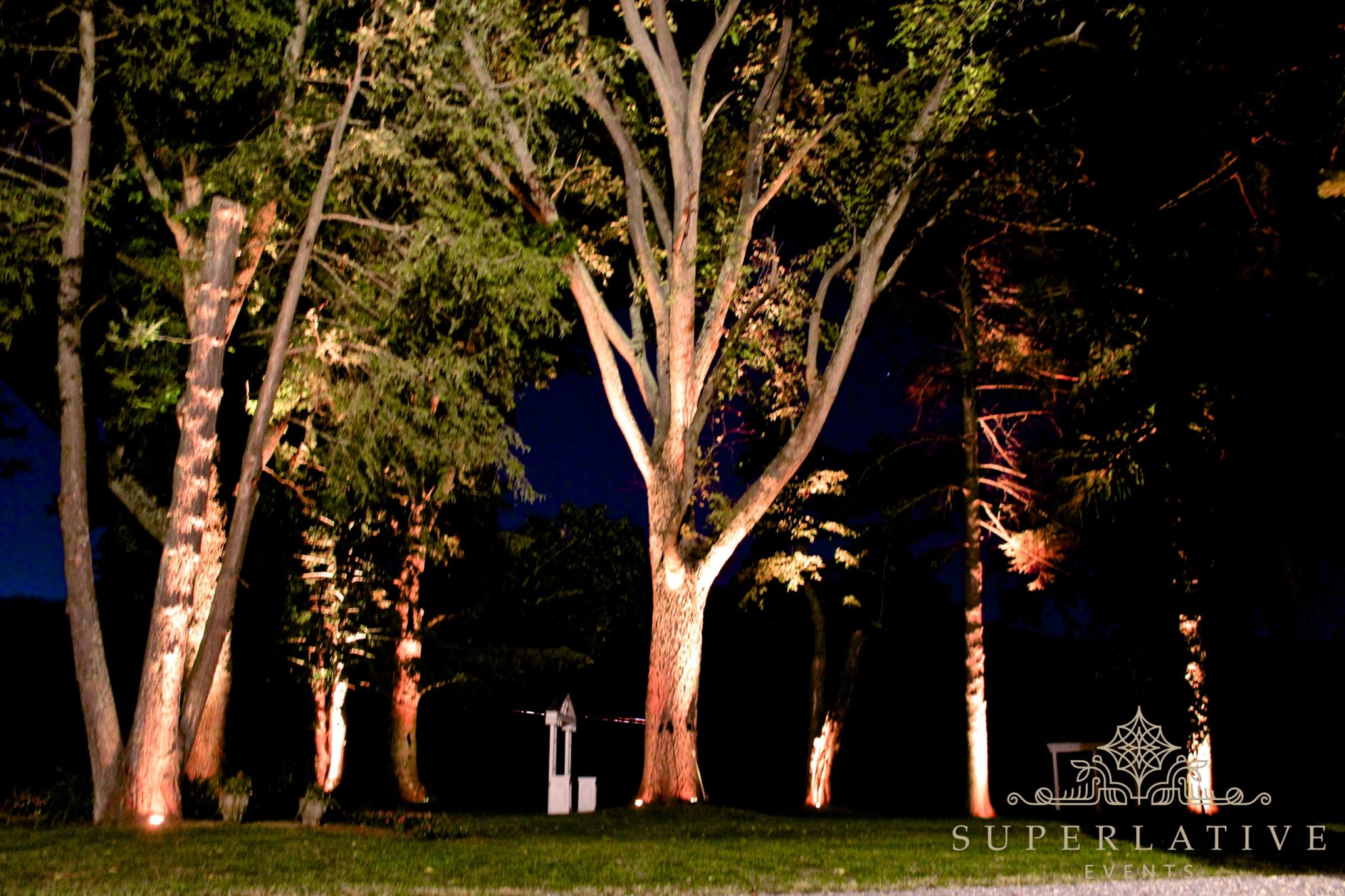Light Tree Lamp